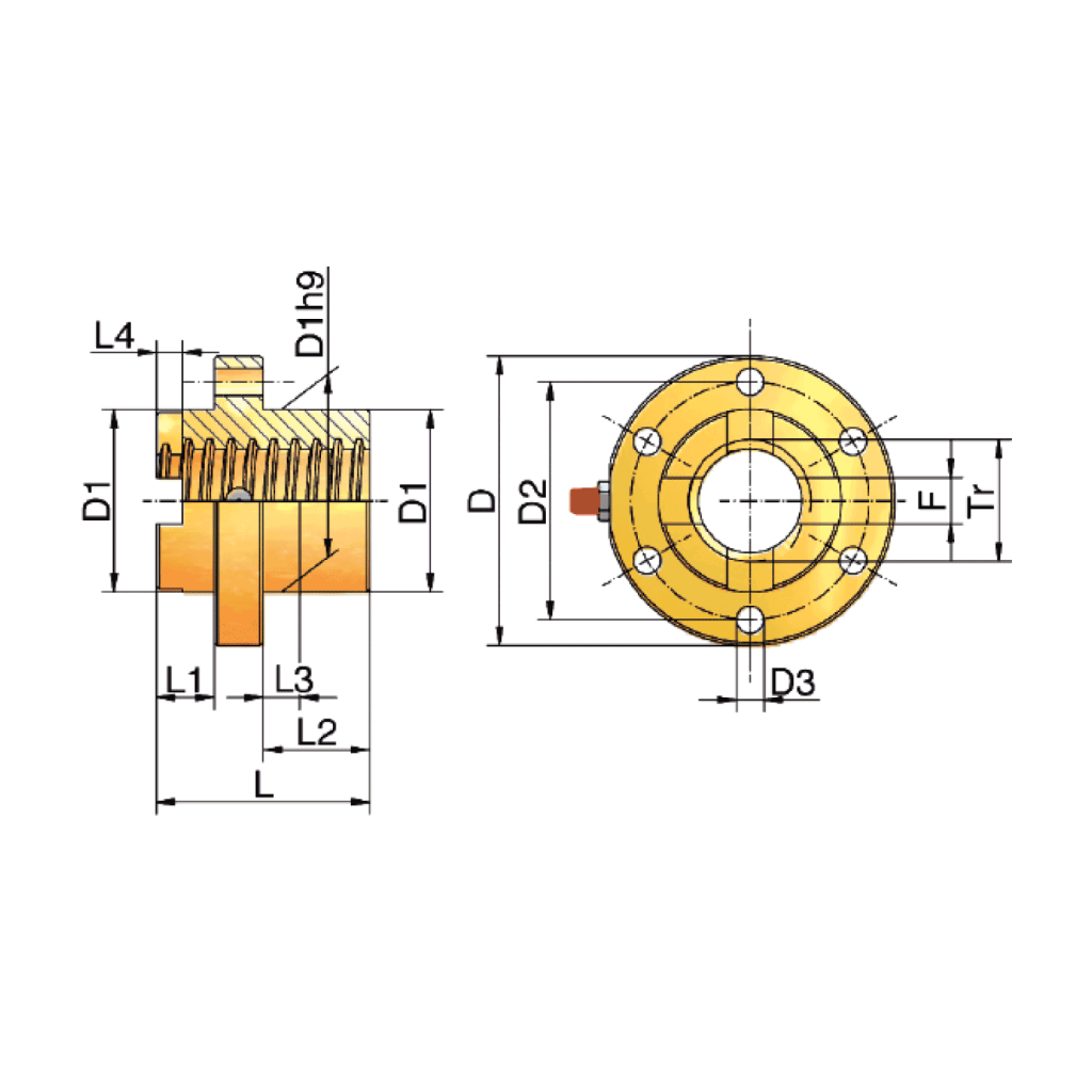 Duplex nut DM | ZIMM